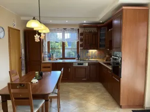 Pronájem rodinného domu, Litvínovice, Mokré - Jih, 174 m2