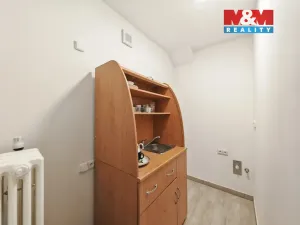 Pronájem kanceláře, Hradec Králové - Slezské Předměstí, Luční, 64 m2