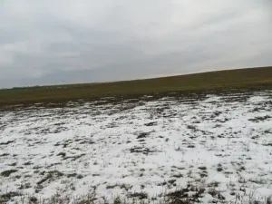 Dražba louky, Račice nad Trotinou, 18528 m2