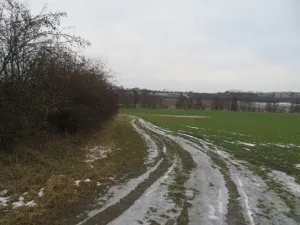 Dražba louky, Račice nad Trotinou, 18528 m2