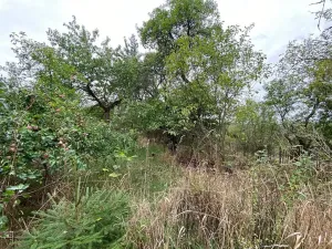 Dražba rodinného domu, Lubenec, Jelení, 164 m2