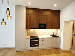 Prodej bytu 2+kk, Český Těšín, Frýdecká, 44 m2