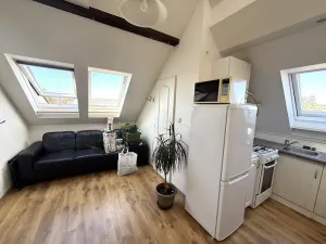 Pronájem bytu 2+kk, Brno - Černovice, Řehořova, 26 m2