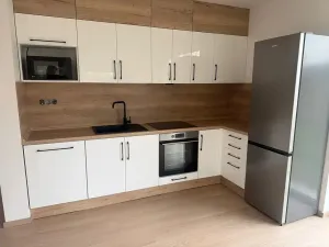 Pronájem rodinného domu, Plzeň, Dlasková, 108 m2