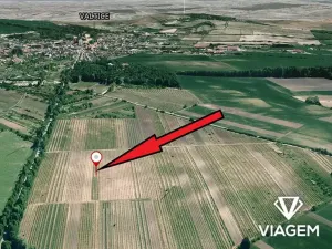 Prodej pole, Valtice, 3250 m2