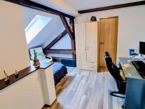 Pronájem bytu 3+1, Jihlava, Mlýnská, 135 m2