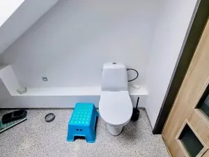 Pronájem bytu 3+1, Jihlava, Mlýnská, 135 m2