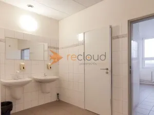 Pronájem kanceláře, České Budějovice - České Budějovice 3, K. Světlé, 18 m2