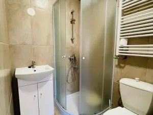 Pronájem bytu 1+kk, Liberec - Liberec XXX-Vratislavice nad Nisou, Kořenovská, 30 m2