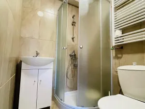 Pronájem bytu 1+kk, Liberec - Liberec XXX-Vratislavice nad Nisou, Kořenovská, 30 m2