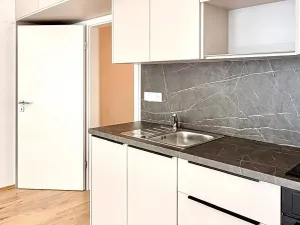 Pronájem bytu 1+kk, Plzeň, Železná, 34 m2