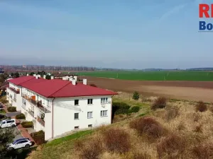 Pronájem bytu 2+1, Český Brod, Kounická, 50 m2