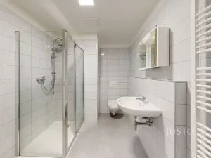 Pronájem bytu 1+kk, České Budějovice, Vrbenská, 32 m2