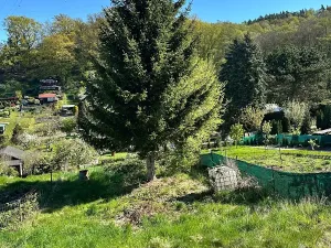 Prodej zahrady, Děčín, Litoměřická, 537 m2