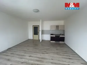 Pronájem bytu 1+kk, Ústí nad Labem - Krásné Březno, Žežická, 35 m2