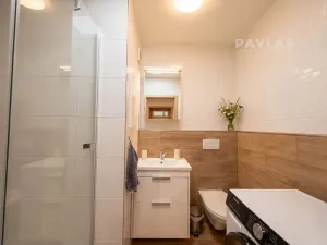 Pronájem bytu 1+1, České Budějovice, Dubenská, 33 m2