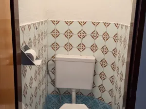 Prodej rodinného domu, Hrušovany nad Jevišovkou, 300 m2