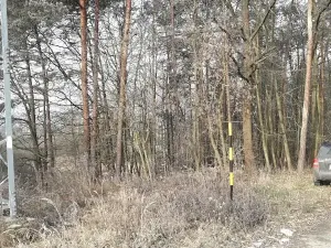 Prodej lesa, Řípec, 27546 m2