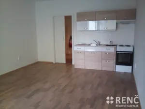Pronájem bytu 1+kk, Brno, Francouzská, 41 m2