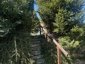 Prodej chalupy, Benešov nad Černou, 130 m2