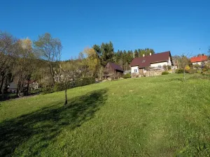 Prodej chalupy, Rokytnice nad Jizerou, 200 m2