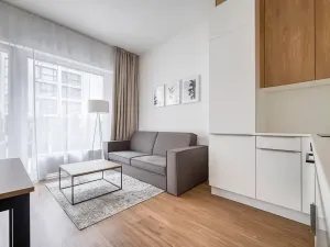 Pronájem bytu 2+kk, Praha - Karlín, Thámova, 48 m2
