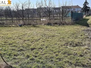 Prodej rodinného domu, Moutnice, 324 m2