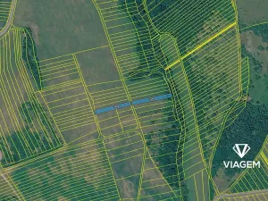 Prodej pole, Drslavice, 1464 m2