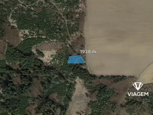 Prodej podílu lesa, Řendějov, 1292 m2