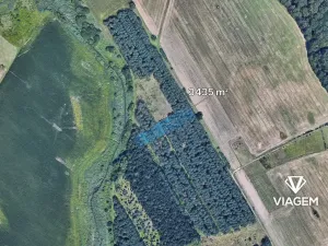Prodej lesa, Břeclav, 3435 m2