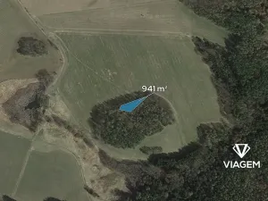 Prodej lesa, Veliš, 941 m2