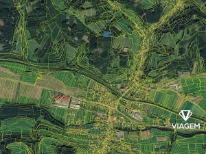 Prodej lesa, Hovězí, 7071 m2