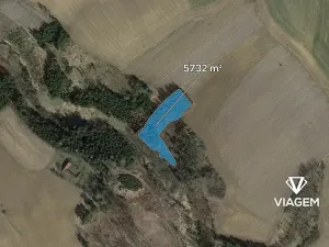 Prodej lesa, Buřenice, 5732 m2