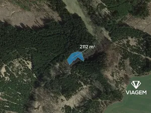 Prodej lesa, Zbizuby, 2112 m2