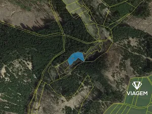 Prodej lesa, Zbizuby, 2112 m2