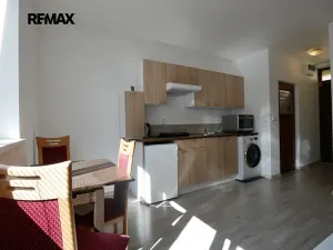 Pronájem bytu 1+kk, Brno, Gallašova, 27 m2