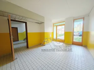 Prodej bytu 4+1, České Budějovice, Netolická, 85 m2