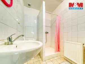 Prodej obchodního prostoru, Písek - Pražské Předměstí, Čechova, 53 m2