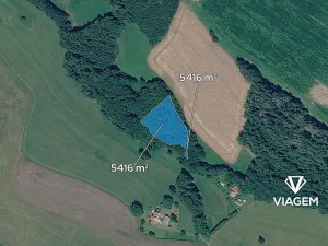 Prodej lesa, Pustá Kamenice, 5416 m2