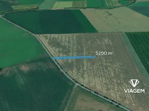 Prodej podílu pole, Víceměřice, 352 m2