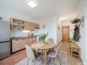 Pronájem bytu 1+1, Lovosice, Vodní, 37 m2