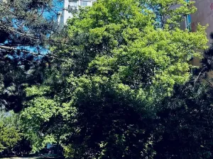 Pronájem bytu 2+kk, Praha - Kobylisy, Taussigova, 48 m2