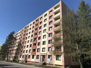 Pronájem bytu 1+kk, Ústí nad Orlicí, Heranova, 20 m2