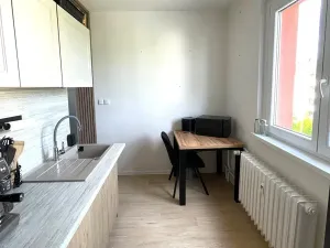 Pronájem bytu 2+1, Uherský Brod, Větrná, 58 m2