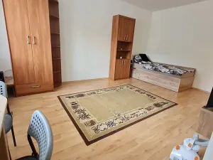 Pronájem bytu 1+kk, Brno, Vídeňská, 27 m2