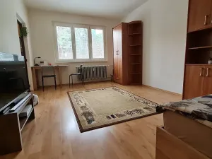 Pronájem bytu 1+kk, Brno, Vídeňská, 27 m2