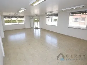 Prodej obchodního prostoru, Liberec, Liliová, 266 m2