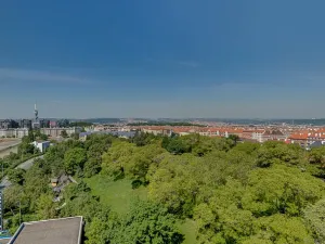 Pronájem bytu 1+kk, Praha - Žižkov, Olgy Havlové, 35 m2