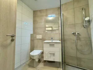 Pronájem bytu 1+kk, Brno, 38 m2