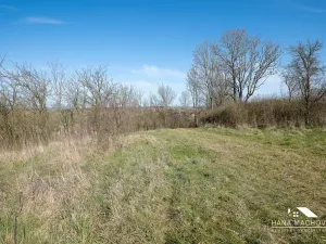 Prodej pozemku pro bydlení, Kopidlno, Na Vinici, 8371 m2